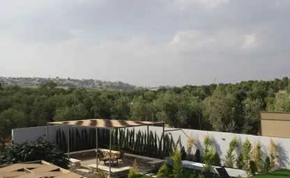 Farm grounds and olive grove
